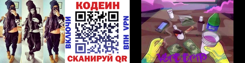 нарко площадка наркотические препараты  как найти закладки  Пошехонье  Кодеин Purple Drank 