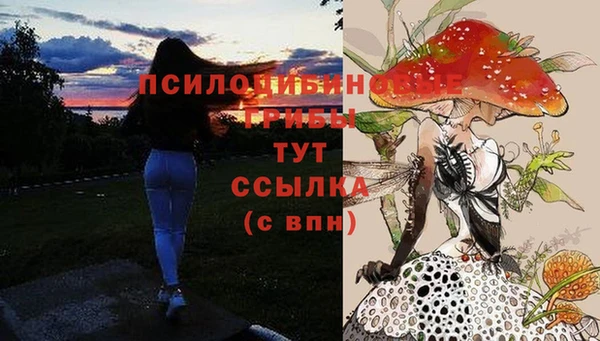 соль курить ск Арсеньев
